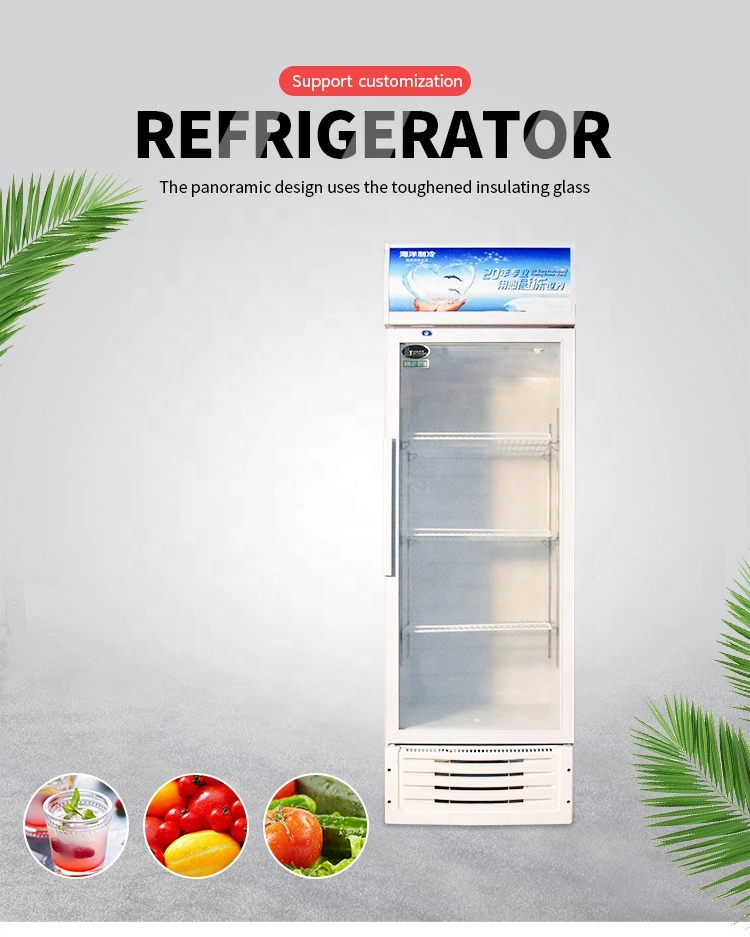 Refrigerated Kitchen Chiller Display Beer 2 Door Beverage Can Cooler Refrigerator Freezer Cooler Fridge Glass Door Built in