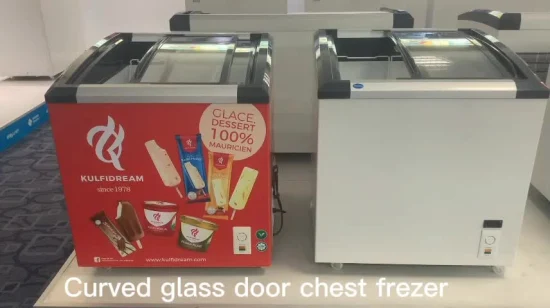 商業冷蔵庫工場出荷時の価格湾曲したスライドガラスドア冷凍庫鶏魚シーフードアイスクリーム用